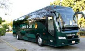 Estrella de oro buses ixtapa