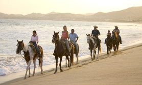 Horseback riding ixtapa